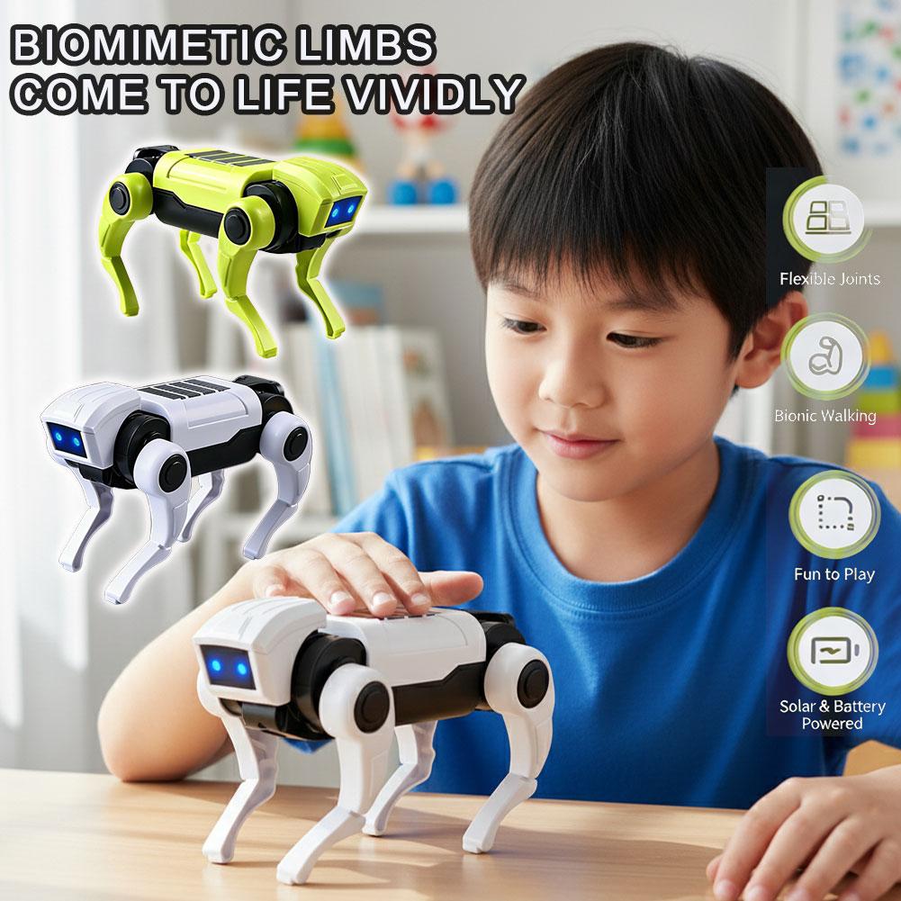 DIY Assembly RC Robot Dog Toy  - Science Project Diy 评论和价格
